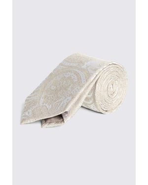 Moss Champagne Wedding Paisley Silk Tie - White