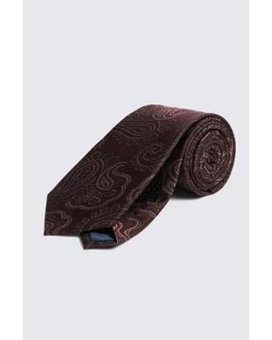 Moss Burgundy & Paisley Silk Tie - Brown