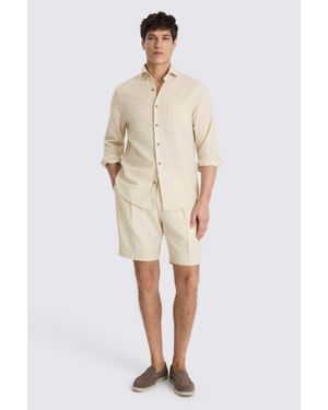 Moss Neutral Wool Pleated Shorts - Natural