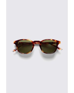 Taylor Morris Tortoise Eagle Sunglasses - Brown