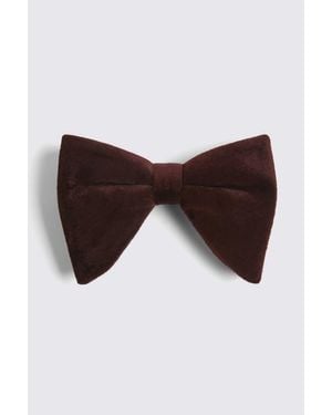 Moss Burgundy Oversized Velvet Pre-Tied Bow Tie - Brown