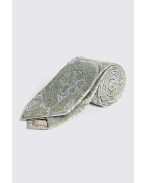 Moss Sage Wedding Paisley Tie - Grey