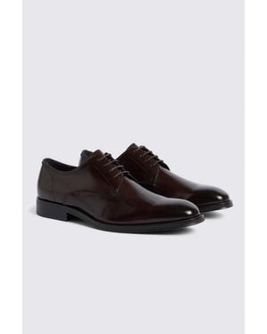 John White Wilms Derby Shoe - Brown