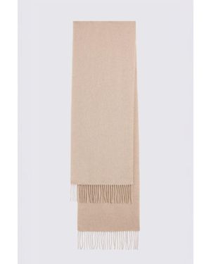 Moss Taupe Cashmere Blend Scarf - Natural