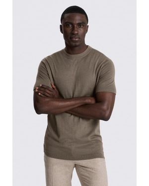 Moss Dark Taupe Merino T-Shirt - Brown