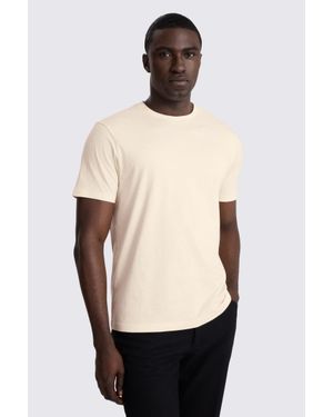 Moss Ecru Cotton Crew-Neck T-Shirt - White