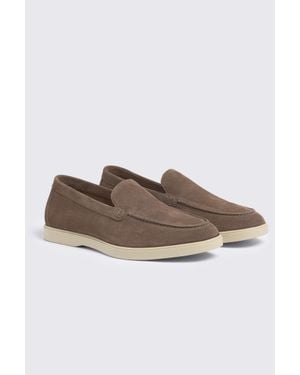 Moss Almond Lewisham Relaxed Suede Loafers - Brown