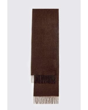 Moss Cashmere Blend Scarf - Brown