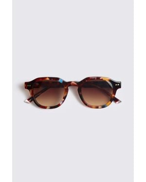 Taylor Morris Exclusive Tortoise Regent Sunglasses - Brown