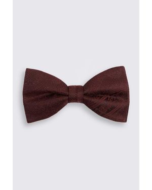 Moss Wine Silk Paisley Pre-Tied Bow Tie - Purple