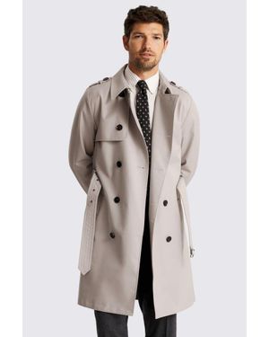 Moss Light Taupe Trench Coat - Natural
