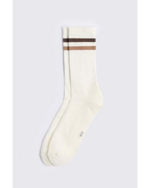 Moss Off- Chocolate & Taupe Stripe Socks - White