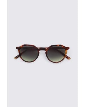 Taylor Morris Tortoise Oxford Sunglasses - Brown