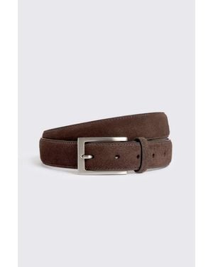 Moss Rich Suede Classic Belt - Brown