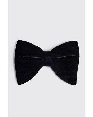 Moss Floppy Velvet Pre-Tied Bow Tie - Black