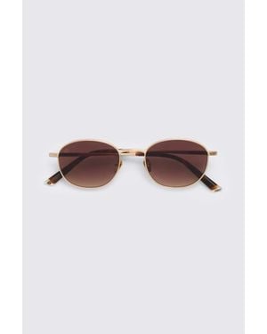 Taylor Morris Monarch Sunglasses - Brown