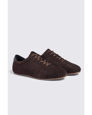 Moss Dark Flat Sole Trainers - Brown