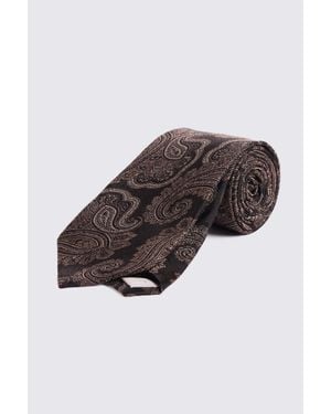 Moss Dark & Copper Paisley Silk Tie - Brown