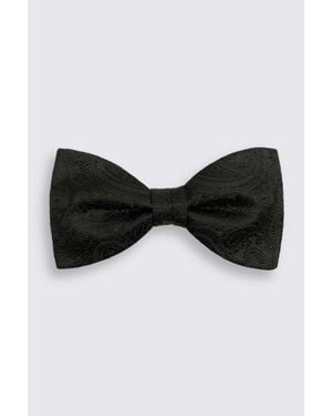 Moss Silk Paisley Pre-Tied Bow Tie - Black