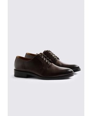 Moss Cambridge Derby Shoes - Brown
