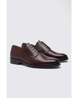 Moss Cambridge Derby Shoes - Brown