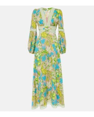 Diane von Furstenberg Bedrucktes Maxikleid Lina - Grün