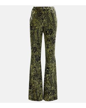 Diane von Furstenberg Ruthette Printed Velvet Flared Trousers - Green