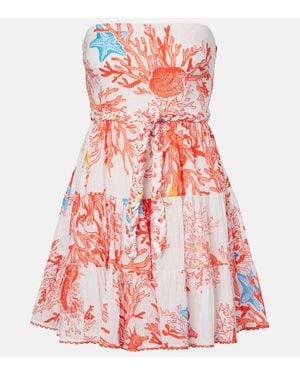 Poupette Minikleid Christine Aus Baumwolle - Rot