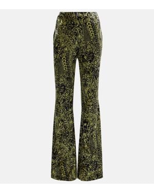 Diane von Furstenberg Ruthette Printed Velvet Flared Trousers - Green