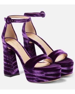 Gianvito Rossi Holly Velvet Platform Sandals - Purple
