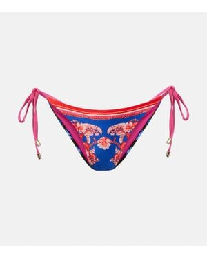 FARM Rio Colorblocked Floral Bikini Bottoms - Red