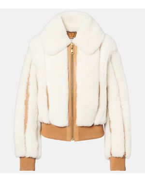 Zimmermann Bomber Story - Bianco