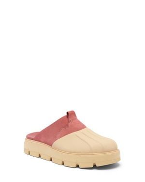 Sorel Rein Cb Clog - Pink