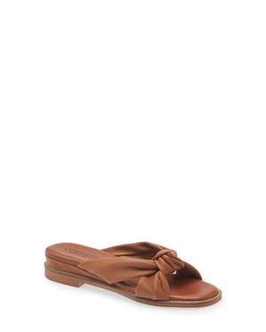 Cordani Hudson Slide Sandal - Brown