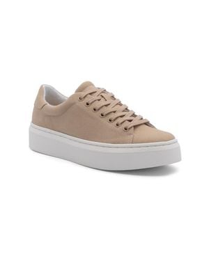 ABEO Jumpstreet Sneaker - Multicolor