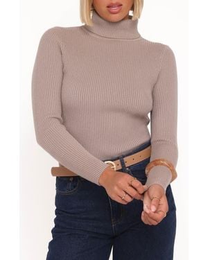 Petal & Pup Cecil Turtleneck Rib Sweater - Multicolor