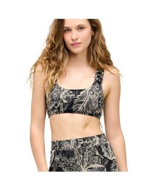 Seea Georgia Bikini Top - Black