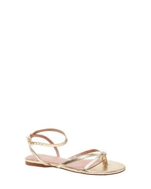 Linea Paolo Luz Ankle Strap Sandal - Metallic