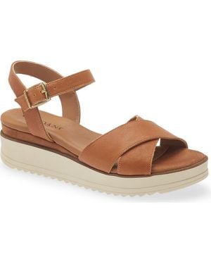 Cordani Arius Sandal - Brown