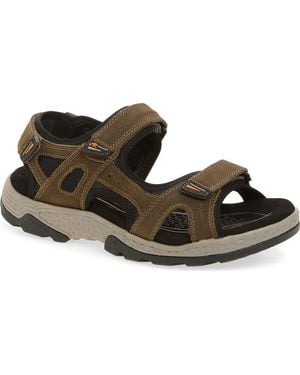 Fluchos Missouri Sandal - Brown