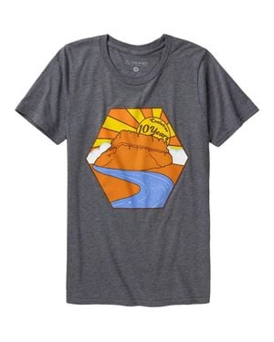 Coalatree 10 Year T-Shirt Decade Of Comfort And Advanture - Gray
