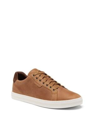 Sorel Cyprus Lx Sneaker - Brown