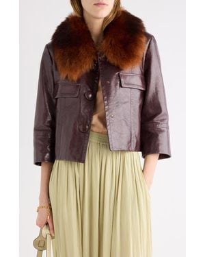 Chloé Calfskin Leather Jacket With Genuine Shearling - Brown
