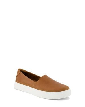 TOMS Kameron Slip-On Shoe - Brown