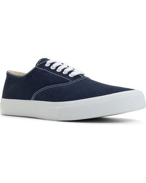 Sperry Top-Sider Classic Cvo Sneaker - Blue