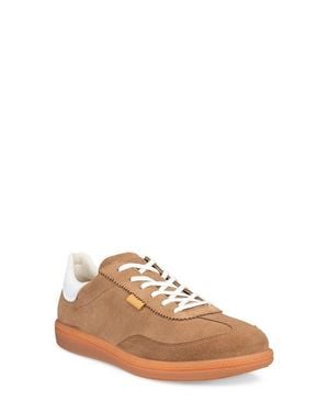 Ecco Soft 11 Sneaker - Brown