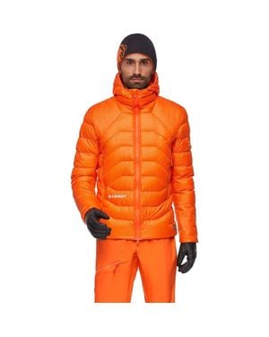 Mammut Eiger Nordwand Light Down - Orange