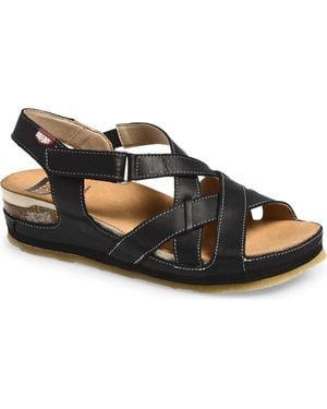 On Foot Cynara Ankle Strap Sandal - Black