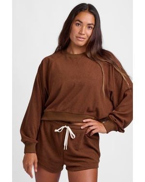 JOLYN Eve Short - Brown