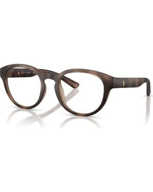 Polo Ralph Lauren 50Mm Phantos Optical Glasses - Multicolor